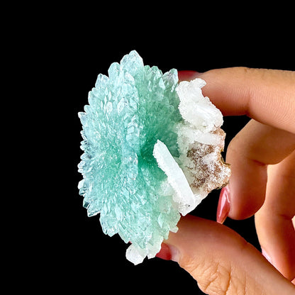Green Apophyllite Rosette with Stilbite - Zeolite Mineral Specimen from Chhatrapati Sambhaji Nagar # DKT142 Apophyllite Superb Minerals 