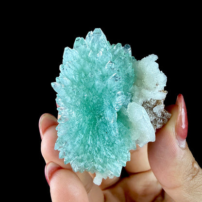 Green Apophyllite Rosette with Stilbite - Zeolite Mineral Specimen from Chhatrapati Sambhaji Nagar # DKT142 Apophyllite Superb Minerals 