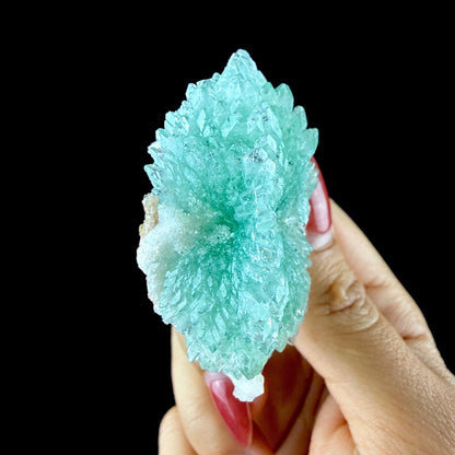 Green Apophyllite Rosette with Stilbite - Zeolite Mineral Specimen from Chhatrapati Sambhaji Nagar # DKT142 Apophyllite Superb Minerals 
