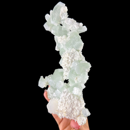Green Apophyllite with Cotton-Ball Mordenite & Stilbite - Raw Indian Zeolite Cluster from Ahilyanagar ,India # DKT146 Apophyllite Superb Minerals 