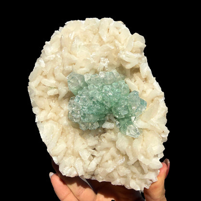 Green Apophyllite with Stilbite - Natural Crystal Cluster # DKT39 Apophylite Superb Minerals 