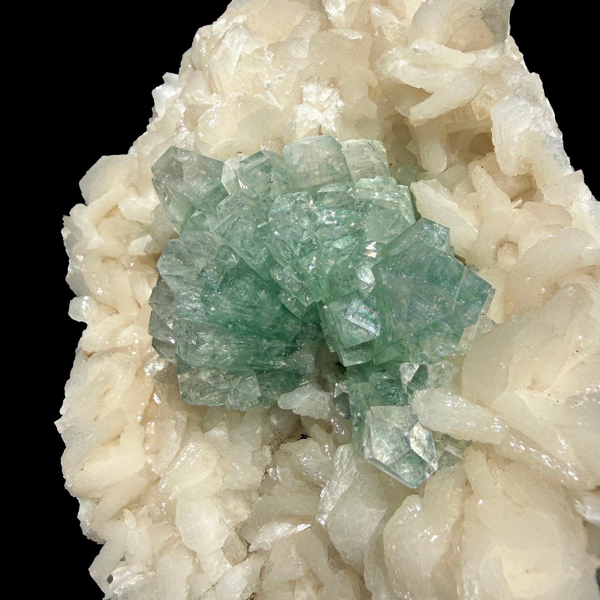 Green Apophyllite with Stilbite - Natural Crystal Cluster # DKT39 Apophylite Superb Minerals 