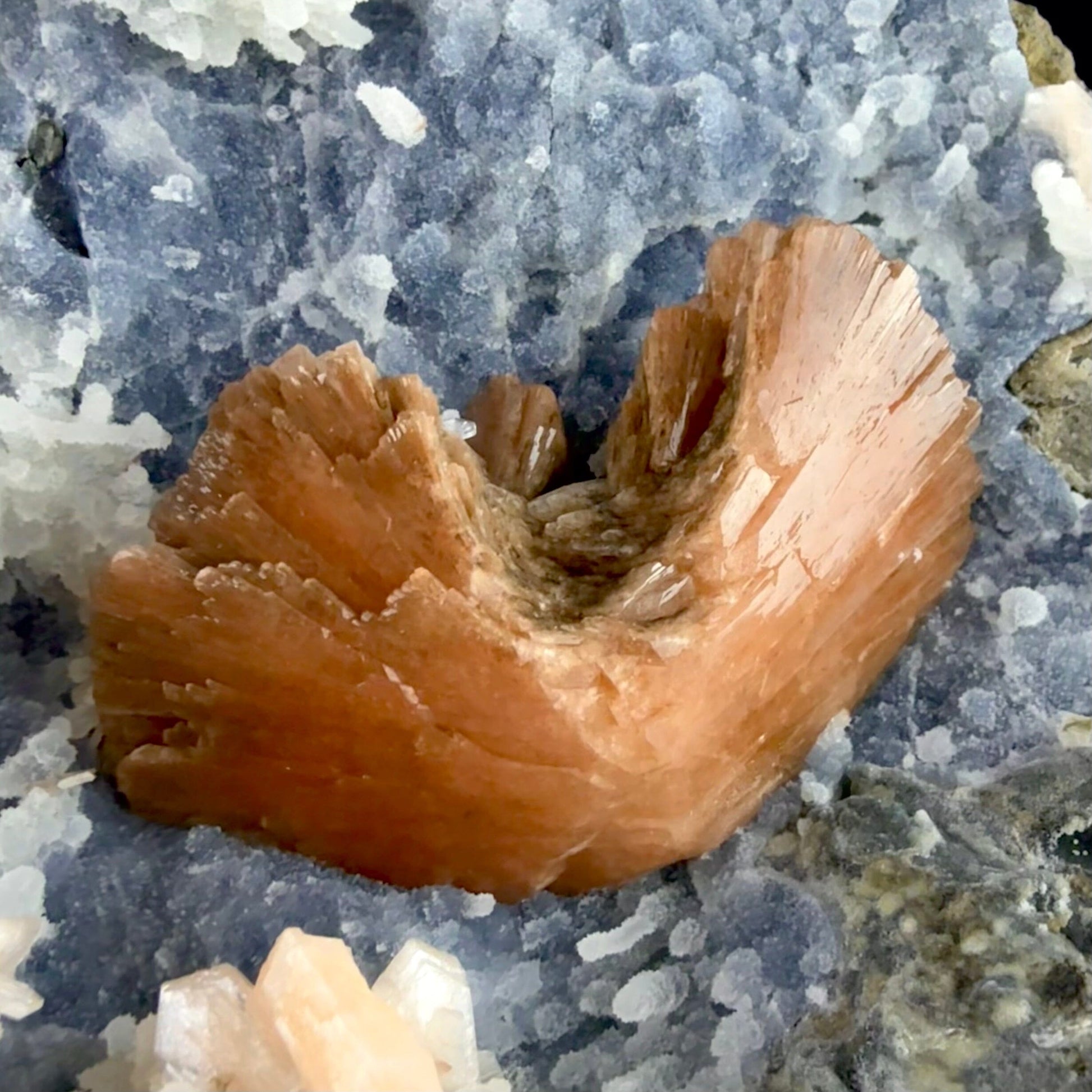 Heulandite and Stilbite on Chalcedony | SELF STANDING | High Quality Mineral | Indian Mineral | Superb Minerals Heulandite Superb Minerals 