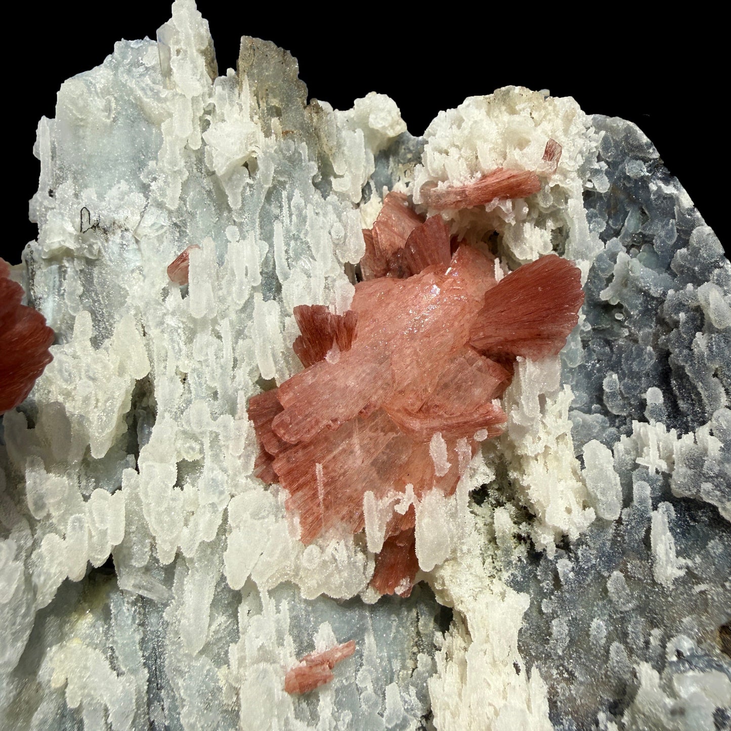 Heulandite on Blue Chalcedony – Rare Natural Indian Zeolite Mineral Specimen from Maharashtra DKT77 Heulandite Superb Minerals 