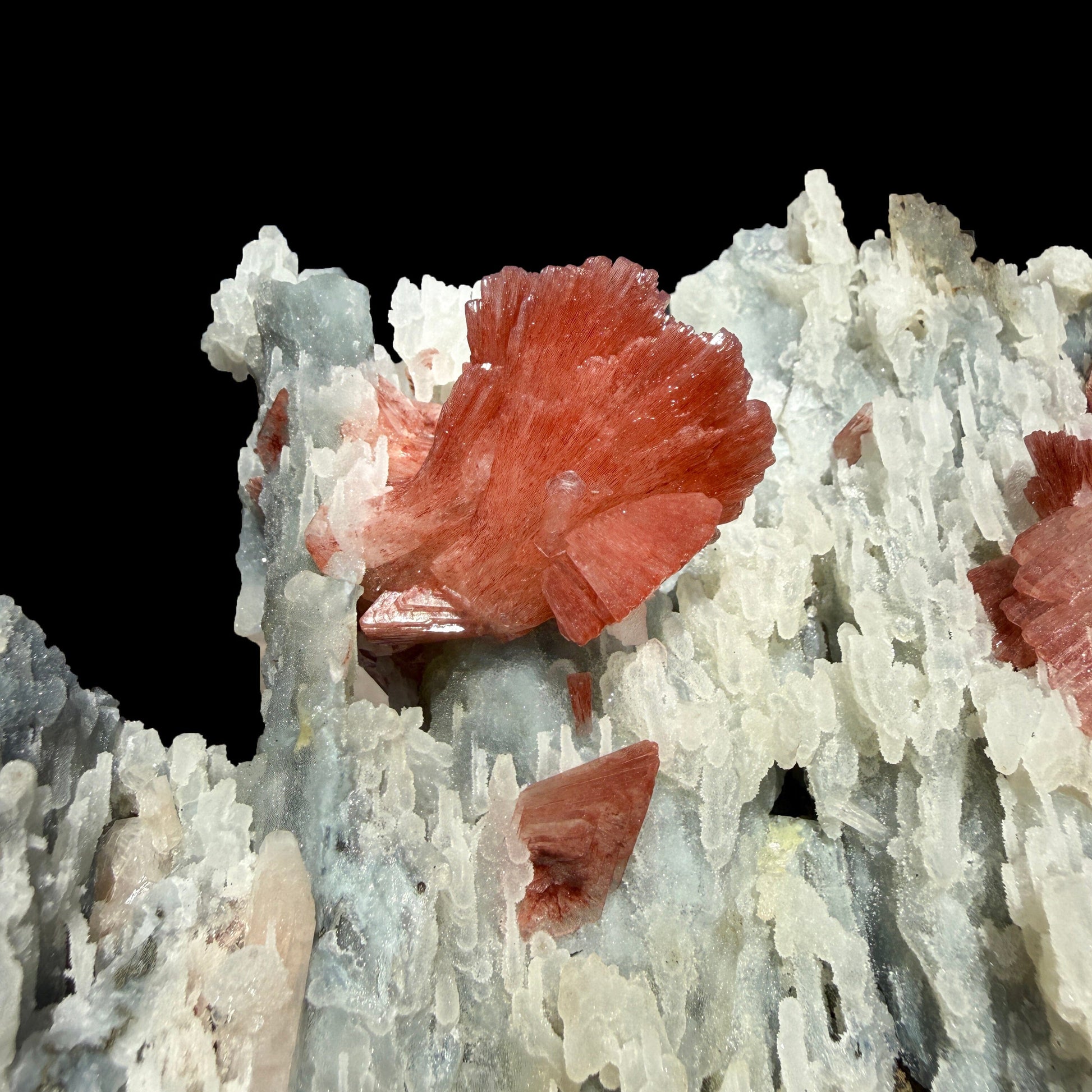 Heulandite on Blue Chalcedony – Rare Natural Indian Zeolite Mineral Specimen from Maharashtra DKT77 Heulandite Superb Minerals 