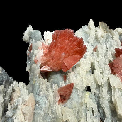 Heulandite on Blue Chalcedony – Rare Natural Indian Zeolite Mineral Specimen from Maharashtra DKT77 Heulandite Superb Minerals 