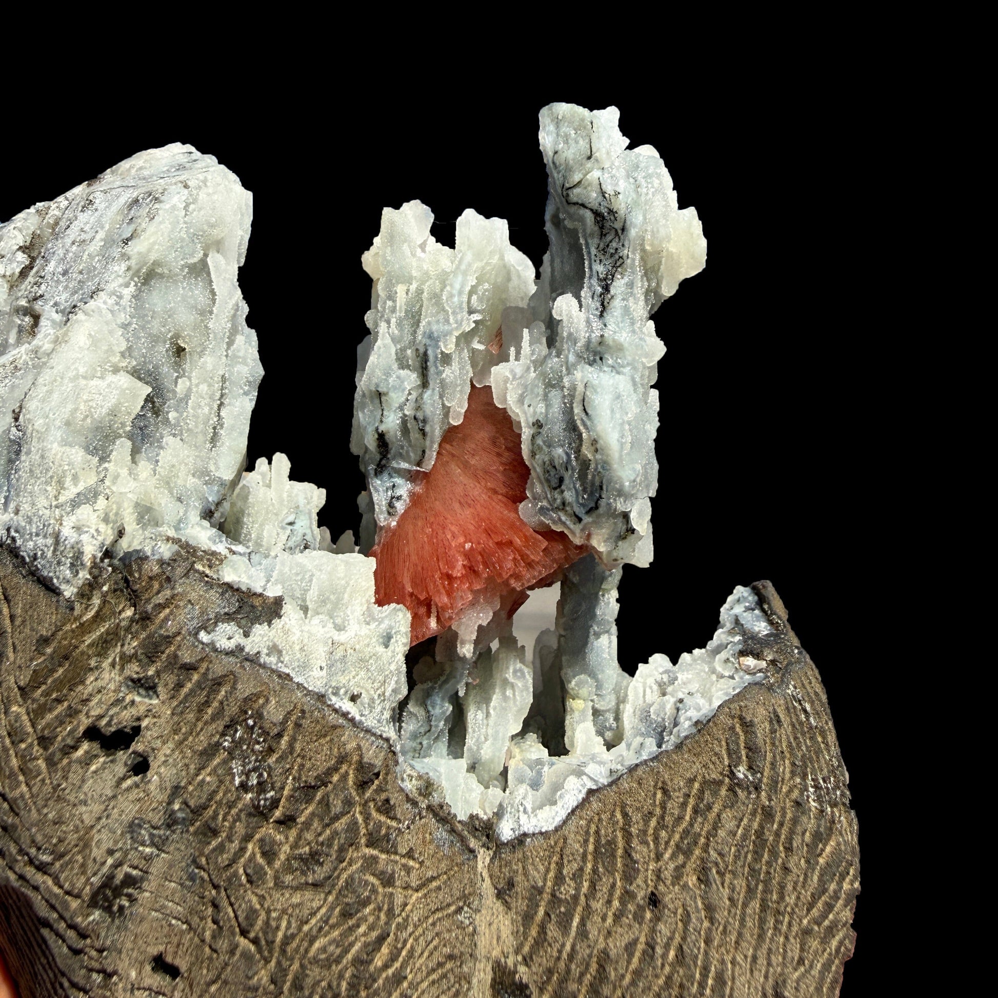 Heulandite on Blue Chalcedony – Rare Natural Indian Zeolite Mineral Specimen from Maharashtra DKT77 Heulandite Superb Minerals 