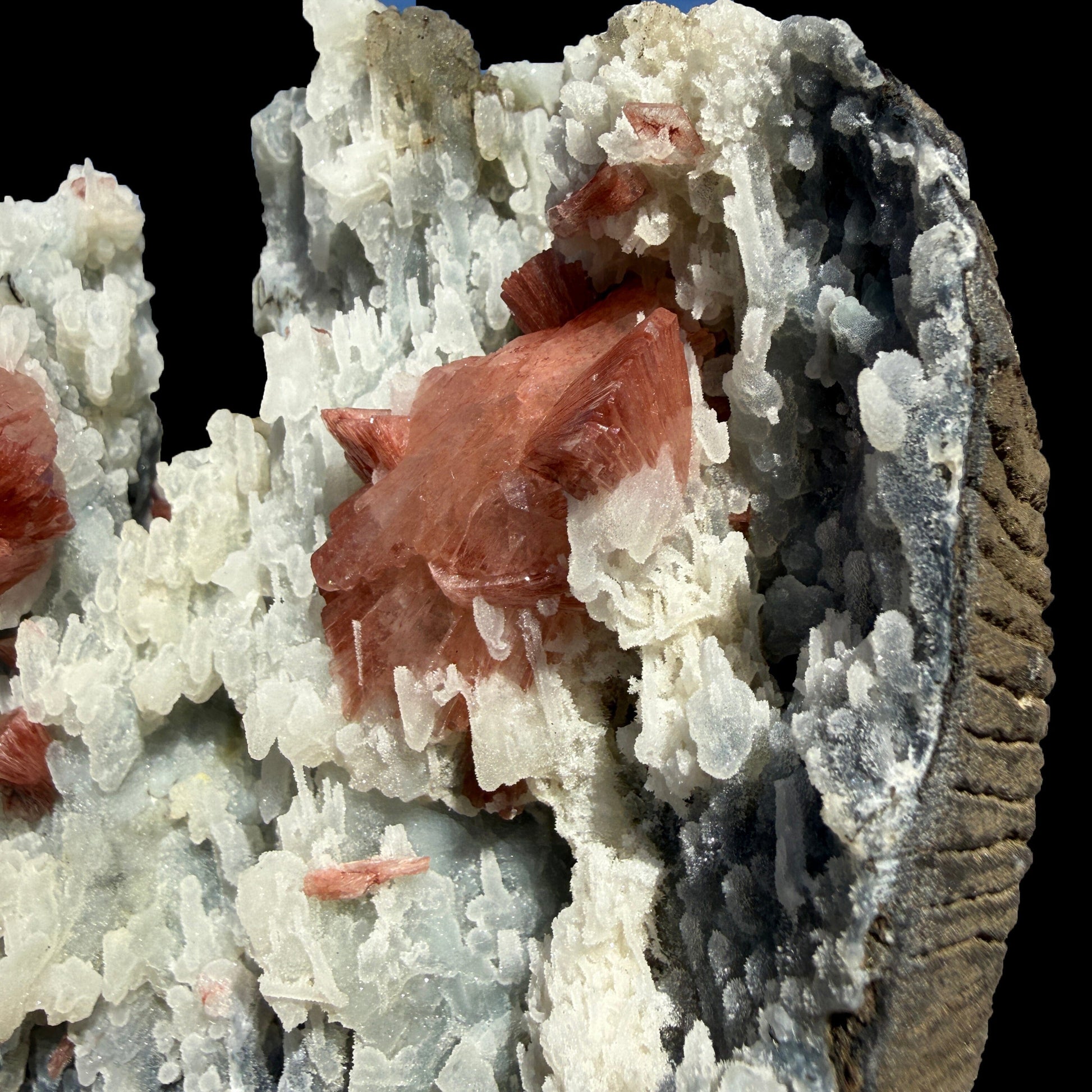 Heulandite on Blue Chalcedony – Rare Natural Indian Zeolite Mineral Specimen from Maharashtra DKT77 Heulandite Superb Minerals 