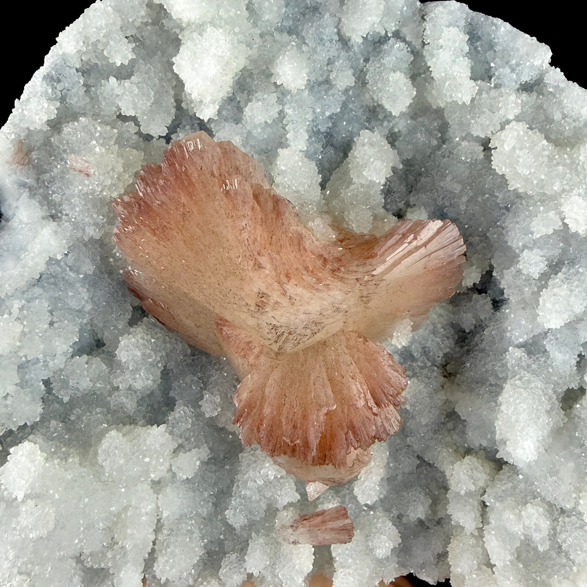 Heulandite on Sparkling Chalcedony Matrix – Indian Zeolite Mineral from Jalgaon # DKT203 Heulandite Superb Minerals 