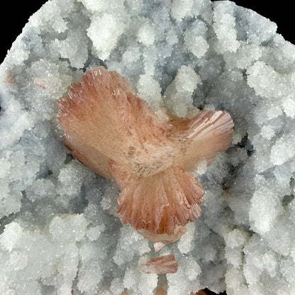 Heulandite on Sparkling Chalcedony Matrix – Indian Zeolite Mineral from Jalgaon # DKT203 Heulandite Superb Minerals 