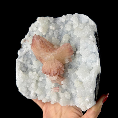 Heulandite on Sparkling Chalcedony Matrix – Indian Zeolite Mineral from Jalgaon # DKT203 Heulandite Superb Minerals 