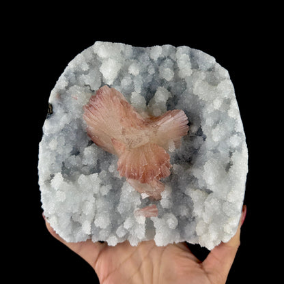 Heulandite on Sparkling Chalcedony Matrix – Indian Zeolite Mineral from Jalgaon # DKT203 Heulandite Superb Minerals 