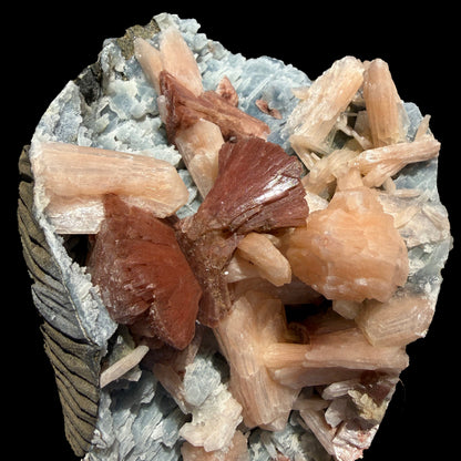 Heulandite & Peach Stilbite on Sparkling Icy-Blue Chalcedony Matrix – Rare Indian Zeolite Mineral Specimen from Maharashtra # DKT137 Heulandite Superb Minerals 