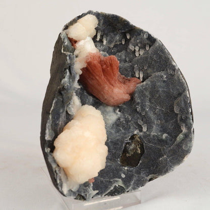 Heulandite Petals with Stilbite in Chalcedony geode Natural Mineral Specimen # B 6608 Heulandite Superb Minerals