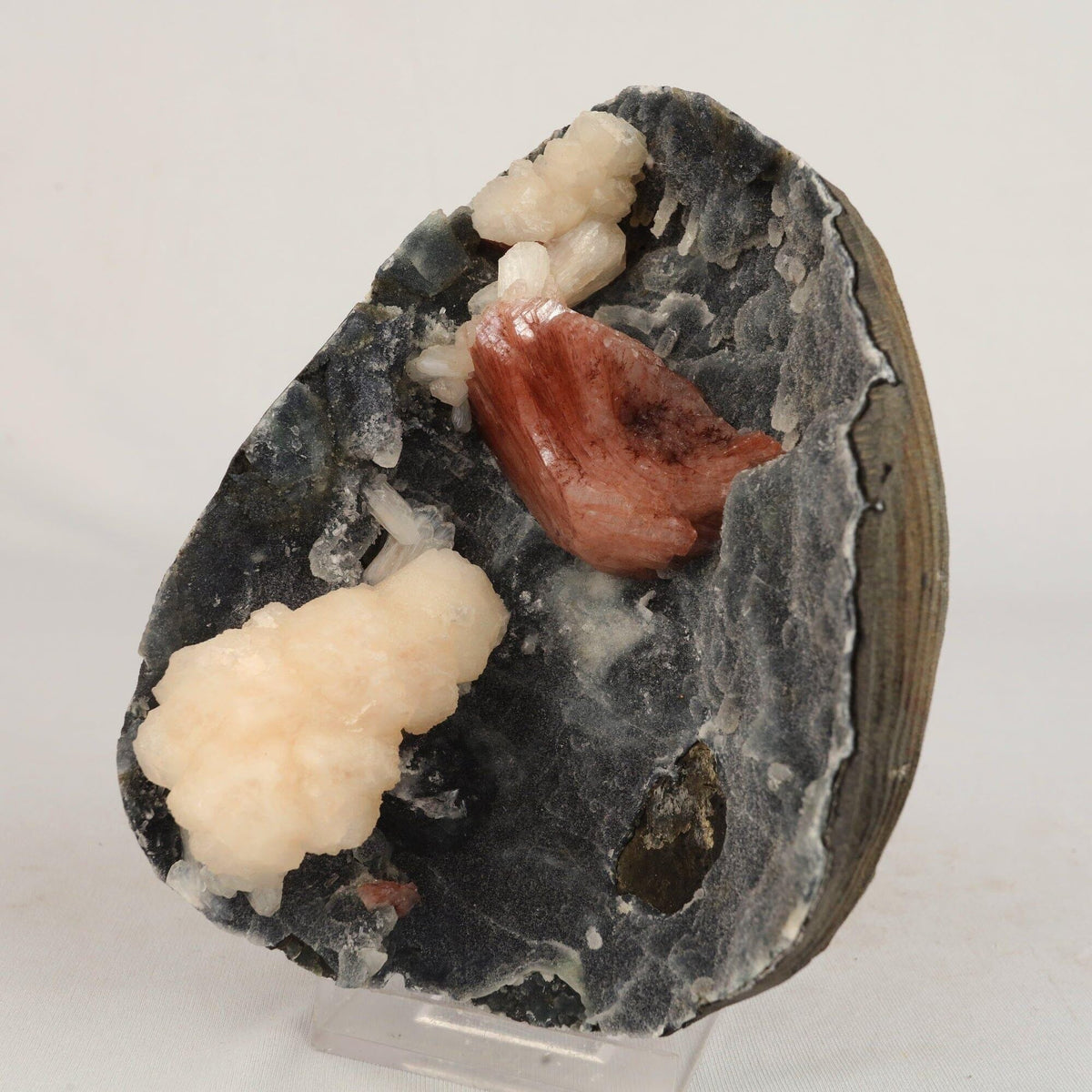 Heulandite Petals with Stilbite in Chalcedony geode Natural Mineral Specimen # B 6608 Heulandite Superb Minerals