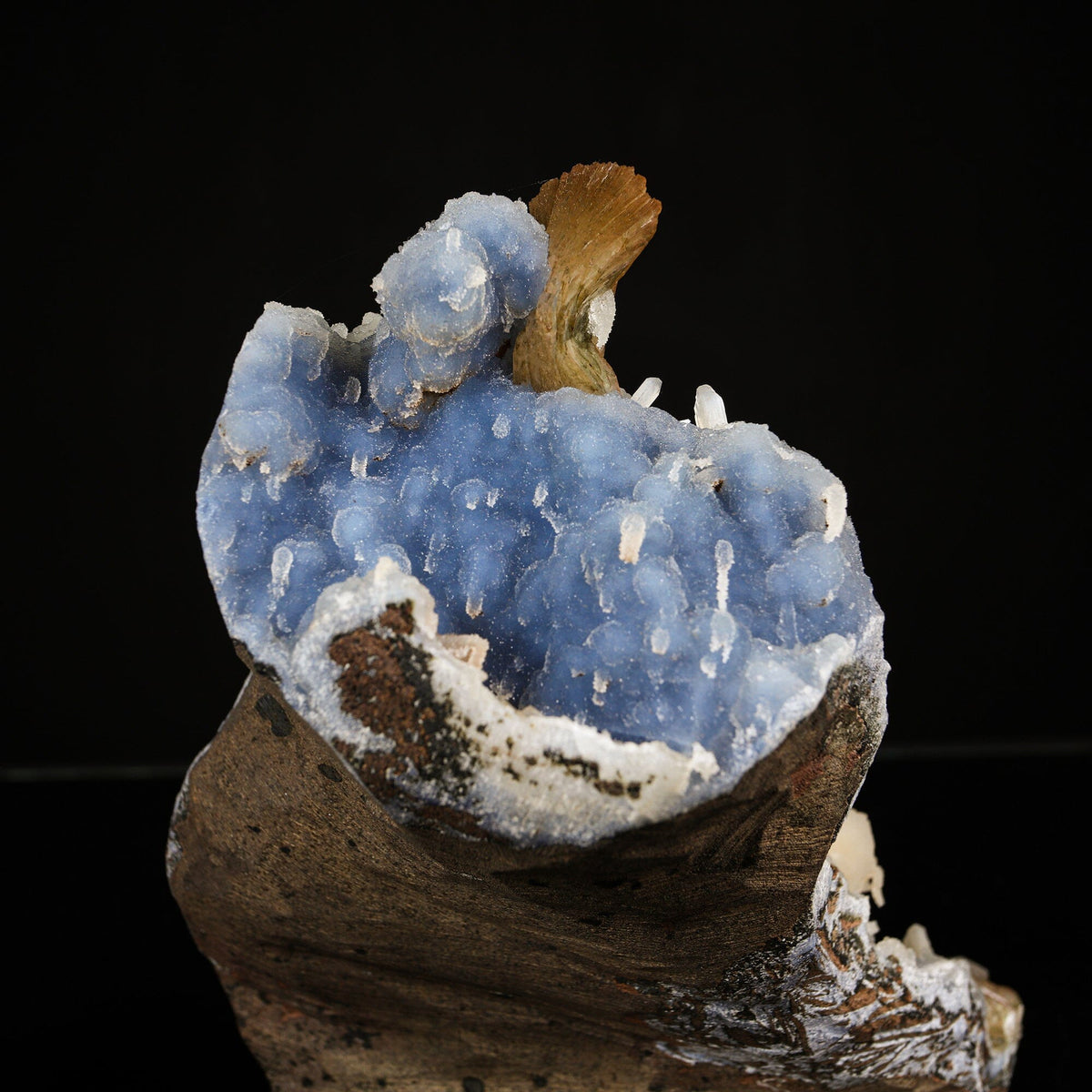 Heulandite,Stilbite on Blue Chalcedony Matrix - Rare Collector’s Specimen from Nashik # B 7202 Heulandite Superb Minerals 