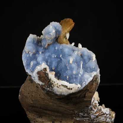Heulandite,Stilbite on Blue Chalcedony Matrix - Rare Collector’s Specimen from Nashik # B 7202 Heulandite Superb Minerals 