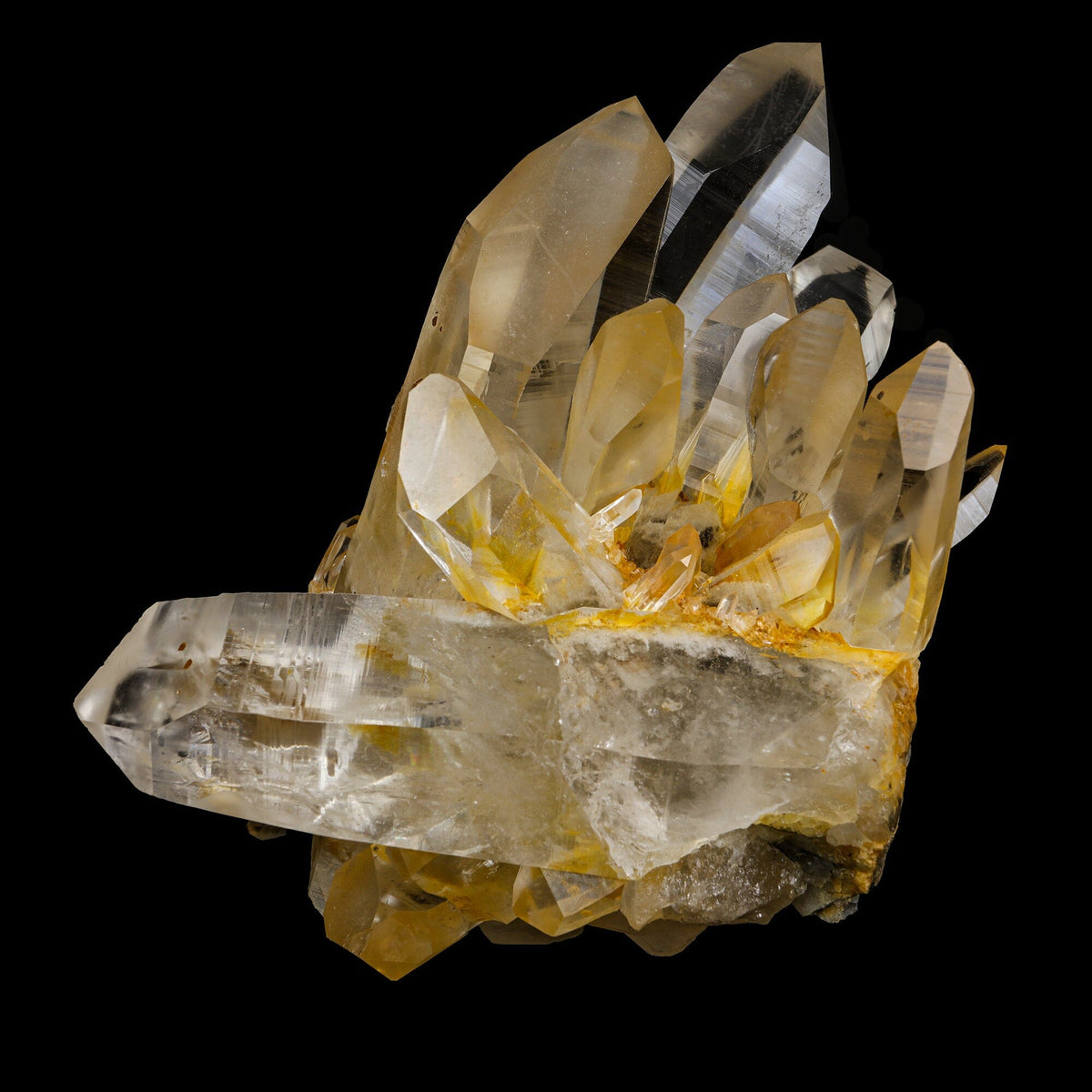 High-Clarity Himalayan Clear Quartz Crystal Cluster – Terminated Lemurian-Style Points – # B 7243 QUARTZ Superb Minerals 