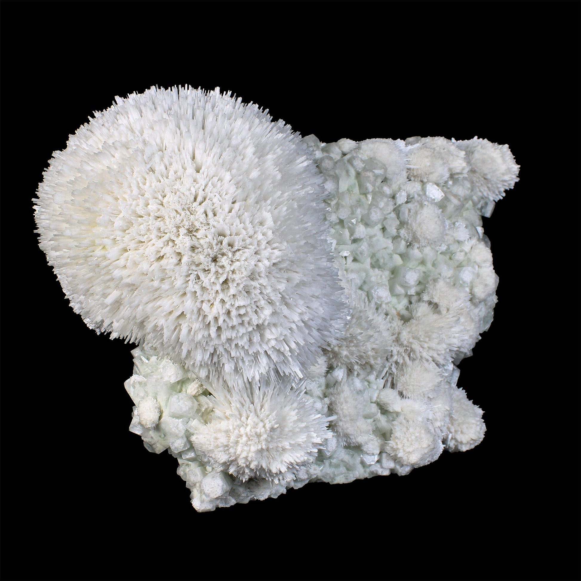Huge Mordenite Flower with Apophyllite – Freestanding Natural Mineral Specimen # B 7176 Mordenite Superb Minerals 