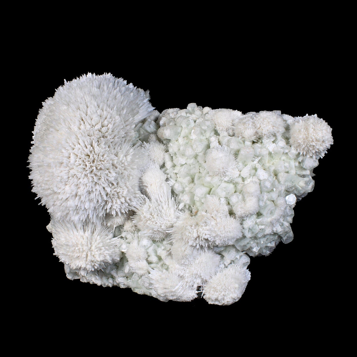 Huge Mordenite Flower with Apophyllite – Freestanding Natural Mineral Specimen # B 7176 Mordenite Superb Minerals 