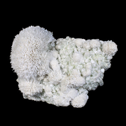 Huge Mordenite Flower with Apophyllite – Freestanding Natural Mineral Specimen # B 7176 Mordenite Superb Minerals 