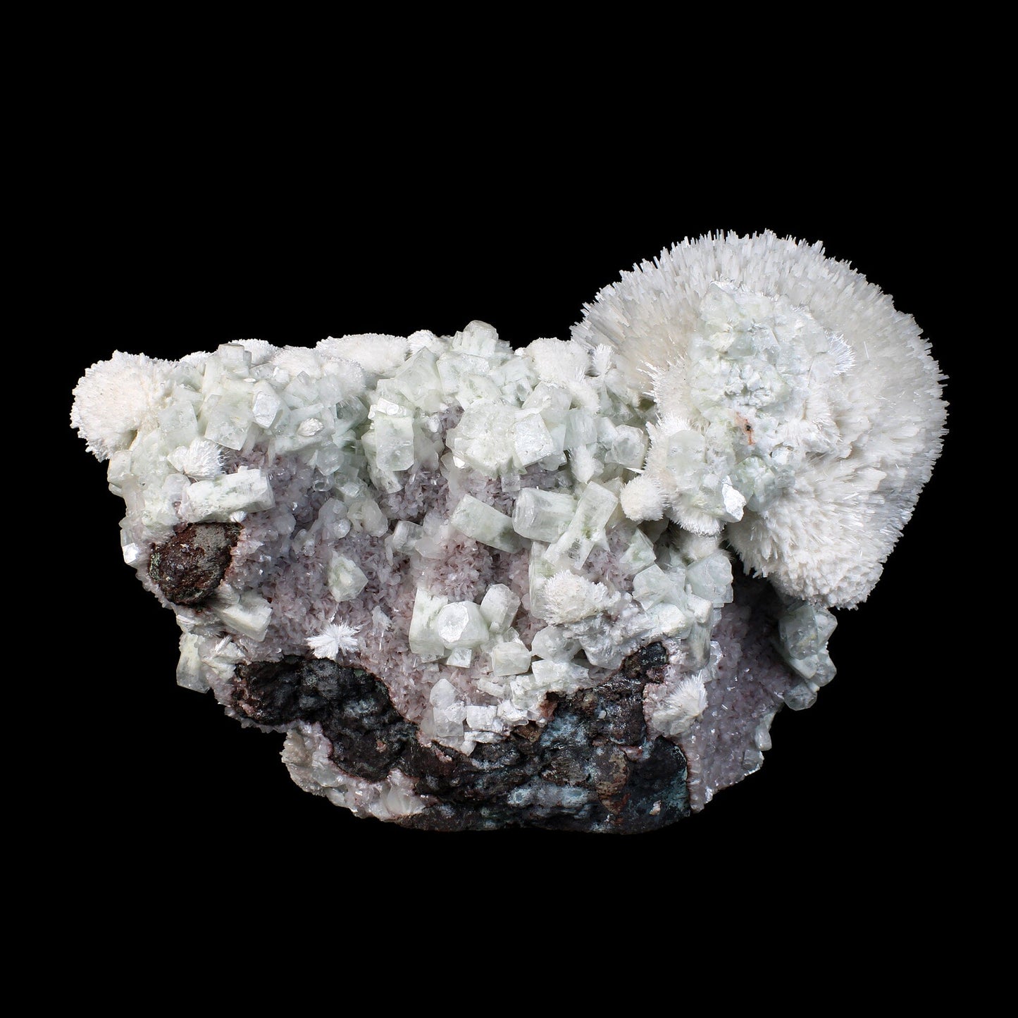 Huge Mordenite Flower with Apophyllite – Freestanding Natural Mineral Specimen # B 7176 Mordenite Superb Minerals 