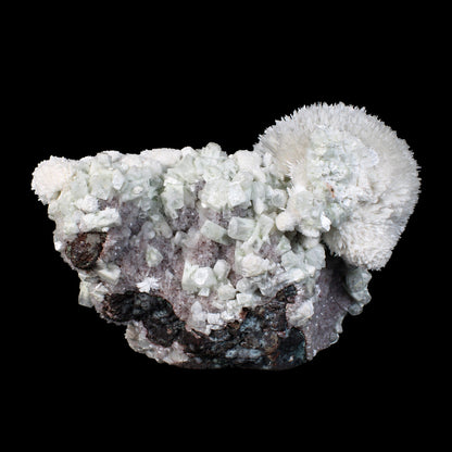 Huge Mordenite Flower with Apophyllite – Freestanding Natural Mineral Specimen # B 7176 Mordenite Superb Minerals 