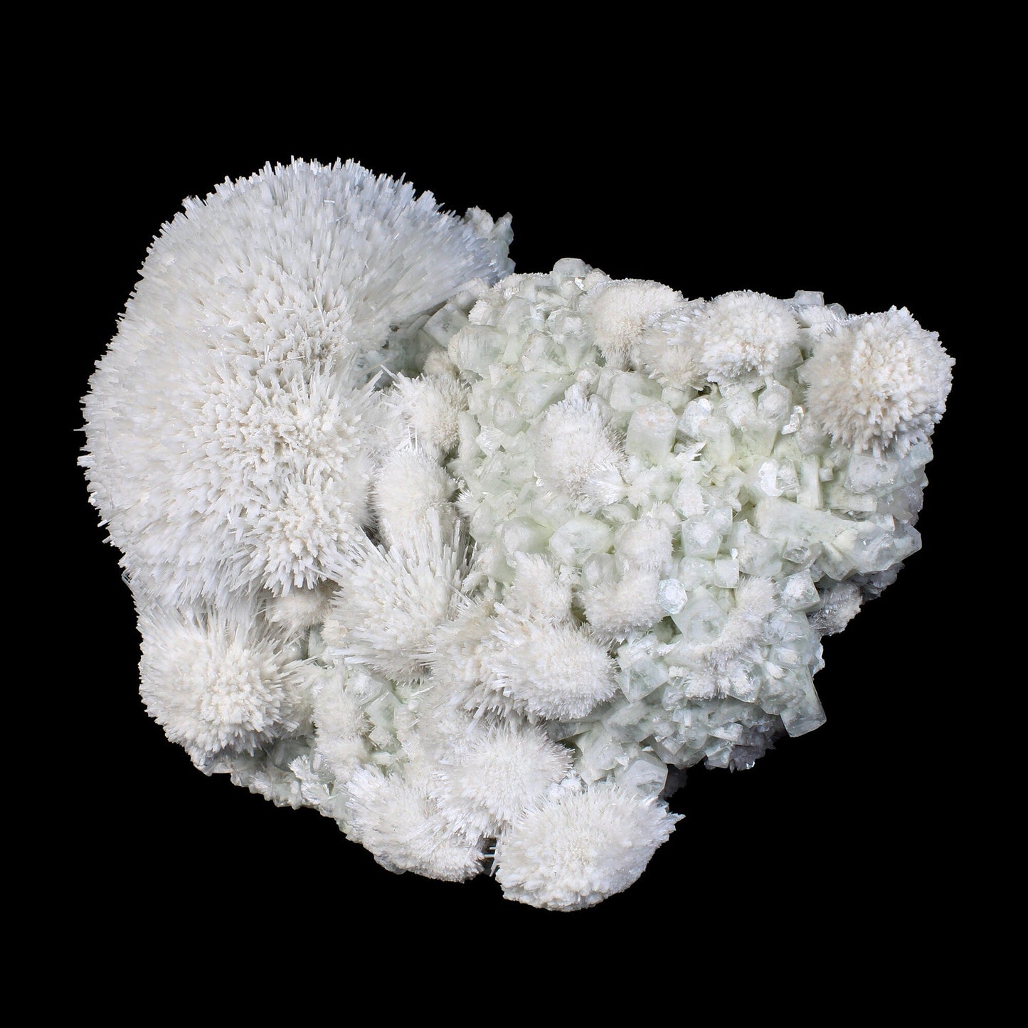 Huge Mordenite Flower with Apophyllite – Freestanding Natural Mineral Specimen # B 7176 Mordenite Superb Minerals 