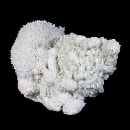 Huge Mordenite Flower with Apophyllite – Freestanding Natural Mineral Specimen # B 7176 Mordenite Superb Minerals 