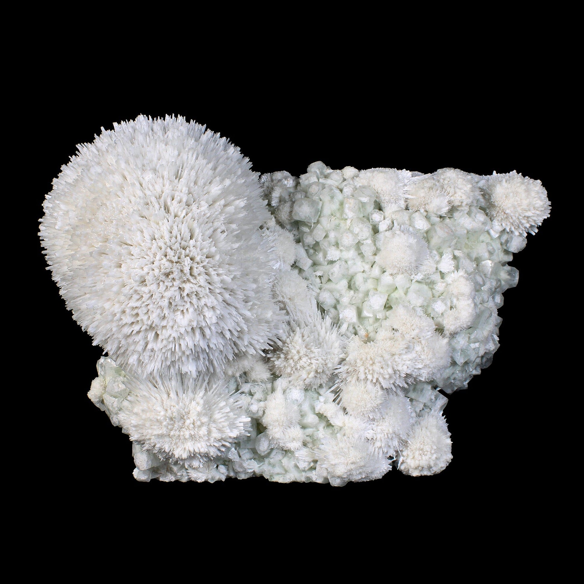 Huge Mordenite Flower with Apophyllite – Freestanding Natural Mineral Specimen # B 7176 Mordenite Superb Minerals 