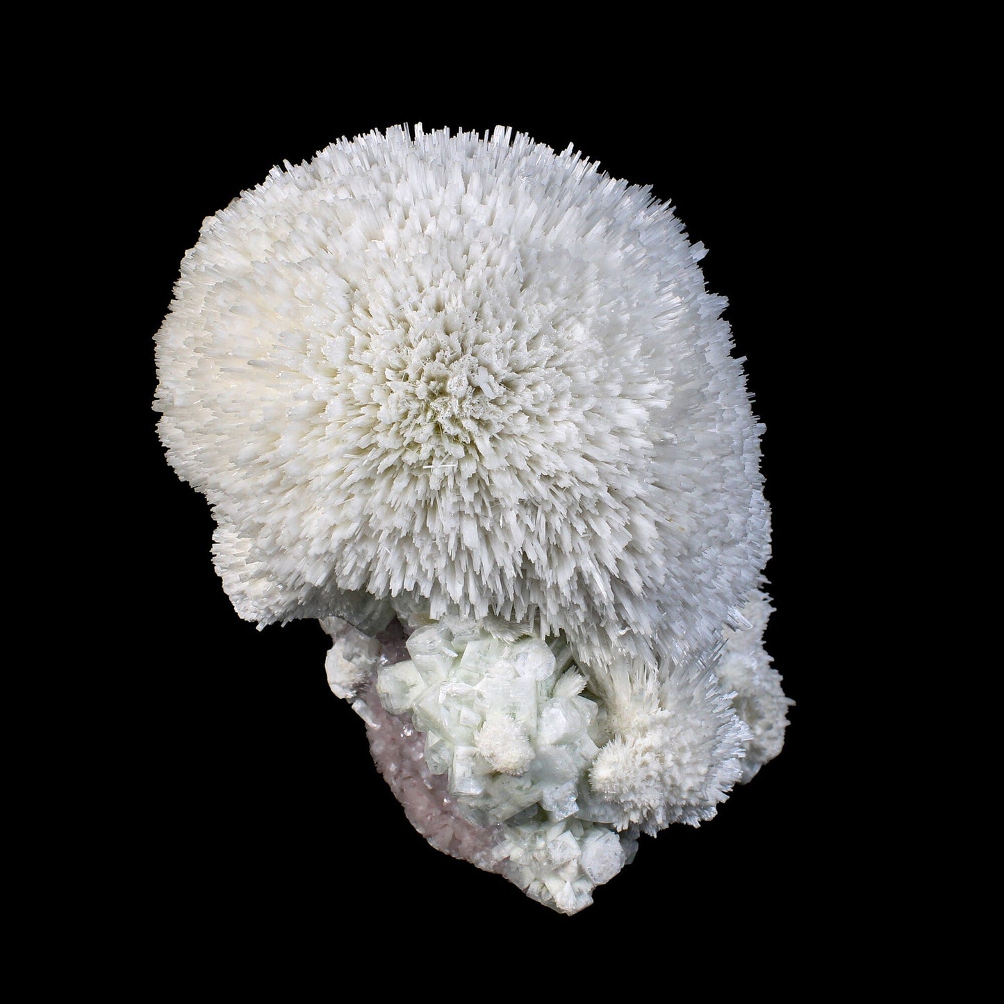 Huge Mordenite Flower with Apophyllite – Freestanding Natural Mineral Specimen # B 7176 Mordenite Superb Minerals 