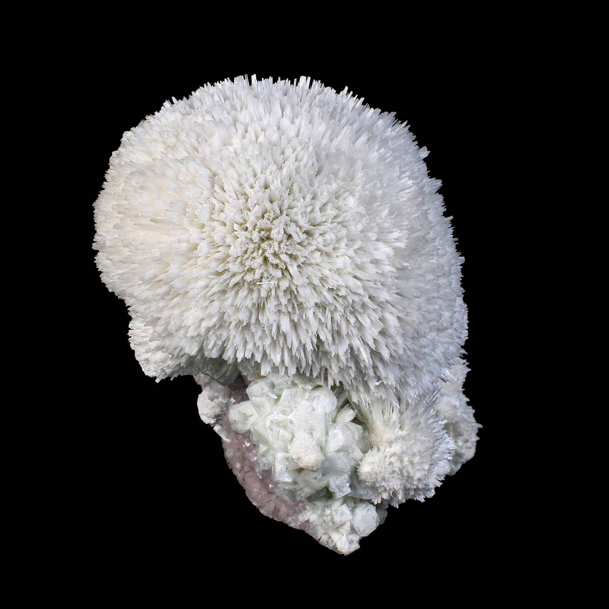 Huge Mordenite Flower with Apophyllite – Freestanding Natural Mineral Specimen # B 7176 Mordenite Superb Minerals 