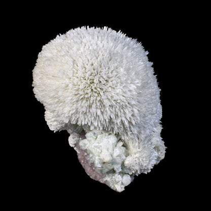 Huge Mordenite Flower with Apophyllite – Freestanding Natural Mineral Specimen # B 7176 Mordenite Superb Minerals 