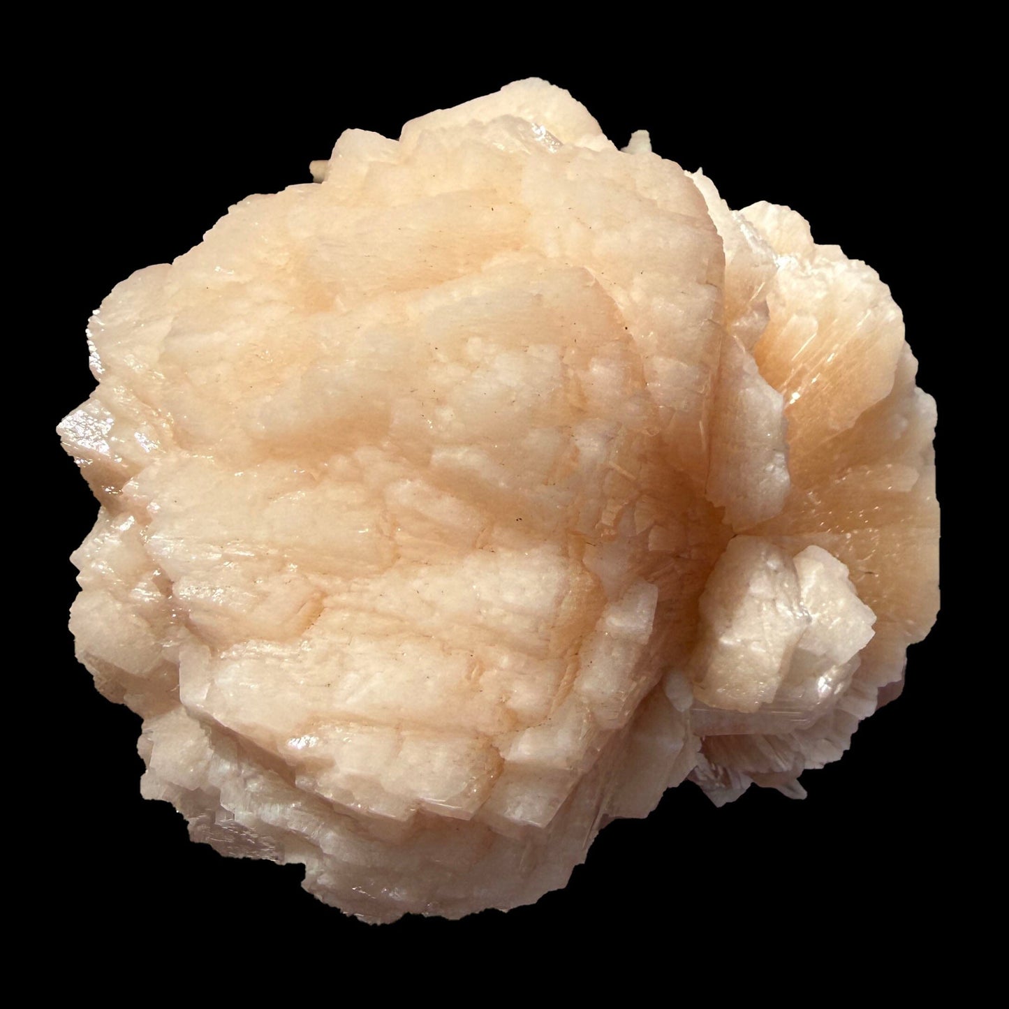 Huge Rare Bow-Tie Stilbite Crystal Cluster – Peach Indian Zeolite Mineral Specimen from Nashik # DKT104 Stilbite Superb Minerals 