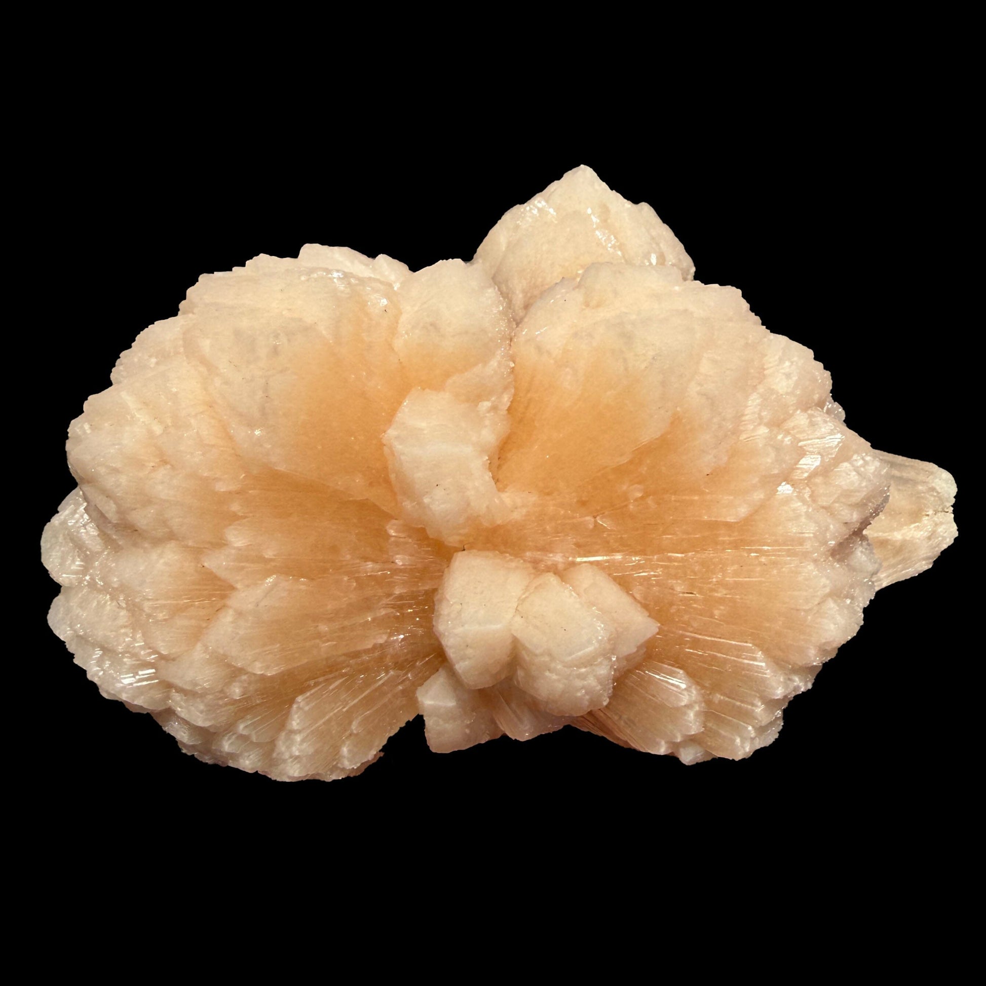 Huge Rare Bow-Tie Stilbite Crystal Cluster – Peach Indian Zeolite Mineral Specimen from Nashik # DKT104 Stilbite Superb Minerals 
