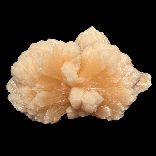 Huge Rare Bow-Tie Stilbite Crystal Cluster – Peach Indian Zeolite Mineral Specimen from Nashik # DKT104 Stilbite Superb Minerals 