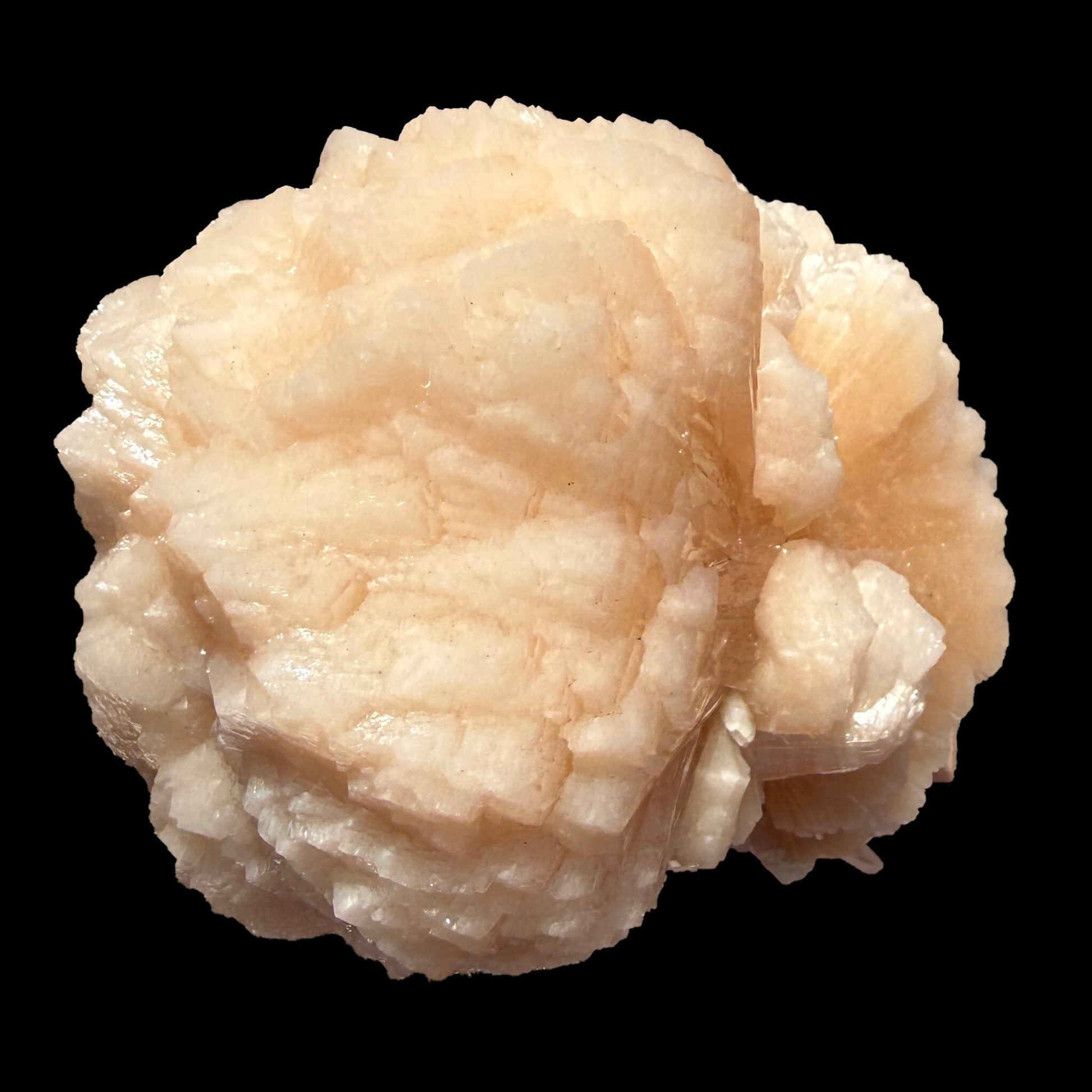 Huge Rare Bow-Tie Stilbite Crystal Cluster – Peach Indian Zeolite Mineral Specimen from Nashik # DKT104 Stilbite Superb Minerals 