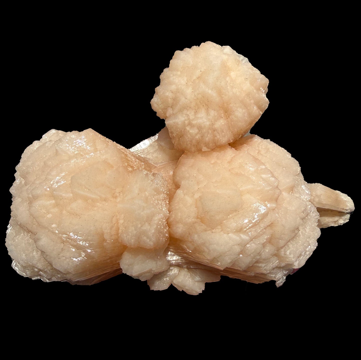 Huge Rare Bow-Tie Stilbite Crystal Cluster – Peach Indian Zeolite Mineral Specimen from Nashik # DKT104 Stilbite Superb Minerals 