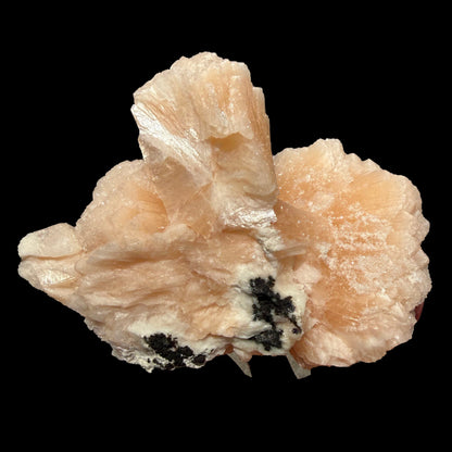 Huge Rare Bow-Tie Stilbite Crystal Cluster – Peach Indian Zeolite Mineral Specimen from Nashik # DKT104 Stilbite Superb Minerals 