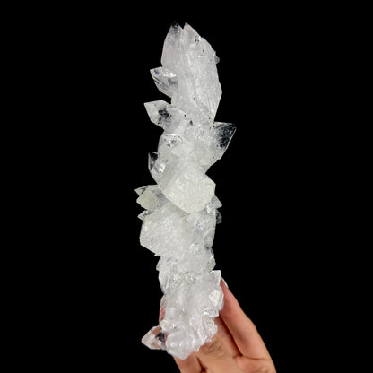 Icy Clear Apophyllite Cluster – Zeolite Mineral from Jalgaon,India # DKT181 Apophyllite Superb Minerals 