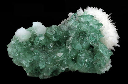 Green Apophyllite with Scolecite Spray and Stilbite - #20T01
