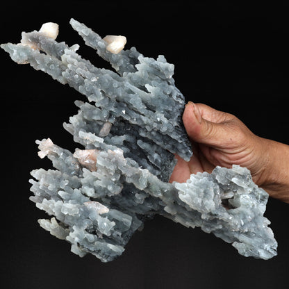Stilbite with Heulandite on Chalcedony Sea Coral Formation - #20T41