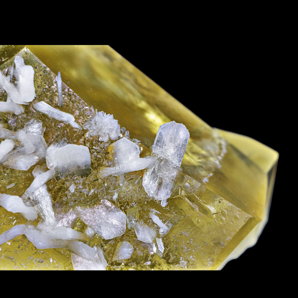 Huge Calcite with White Stilbite Blades - #C54