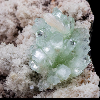 Green Apophyllite Clustered with Stilbite Inclusion - #C5