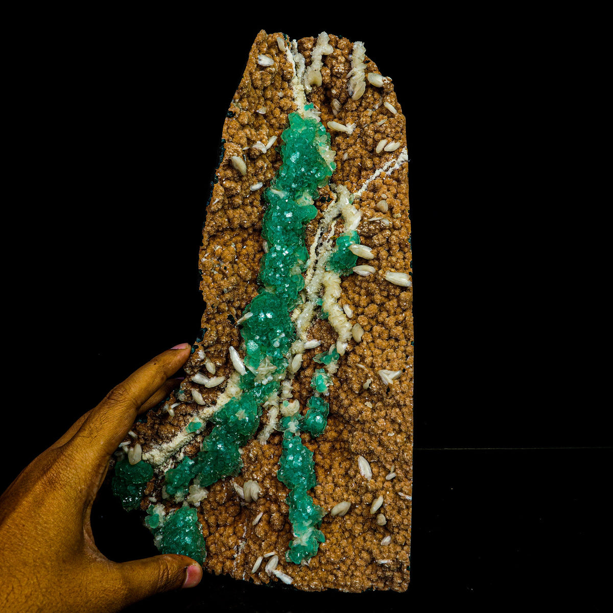 Rare Green Apophyllite with Chalcedony Natural Mineral Specimen #TC24-17