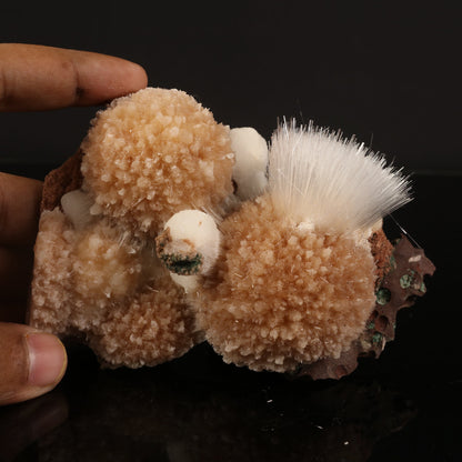 Rare New Find Thomsonite with Mesolite Natural Mineral Specimen # B 6822