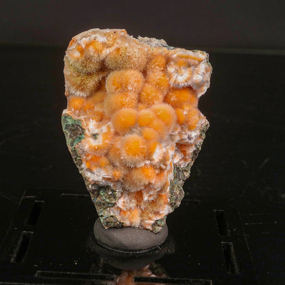 Thomsonite Orange Rare Find Natural Mineral Specimen # B 6813