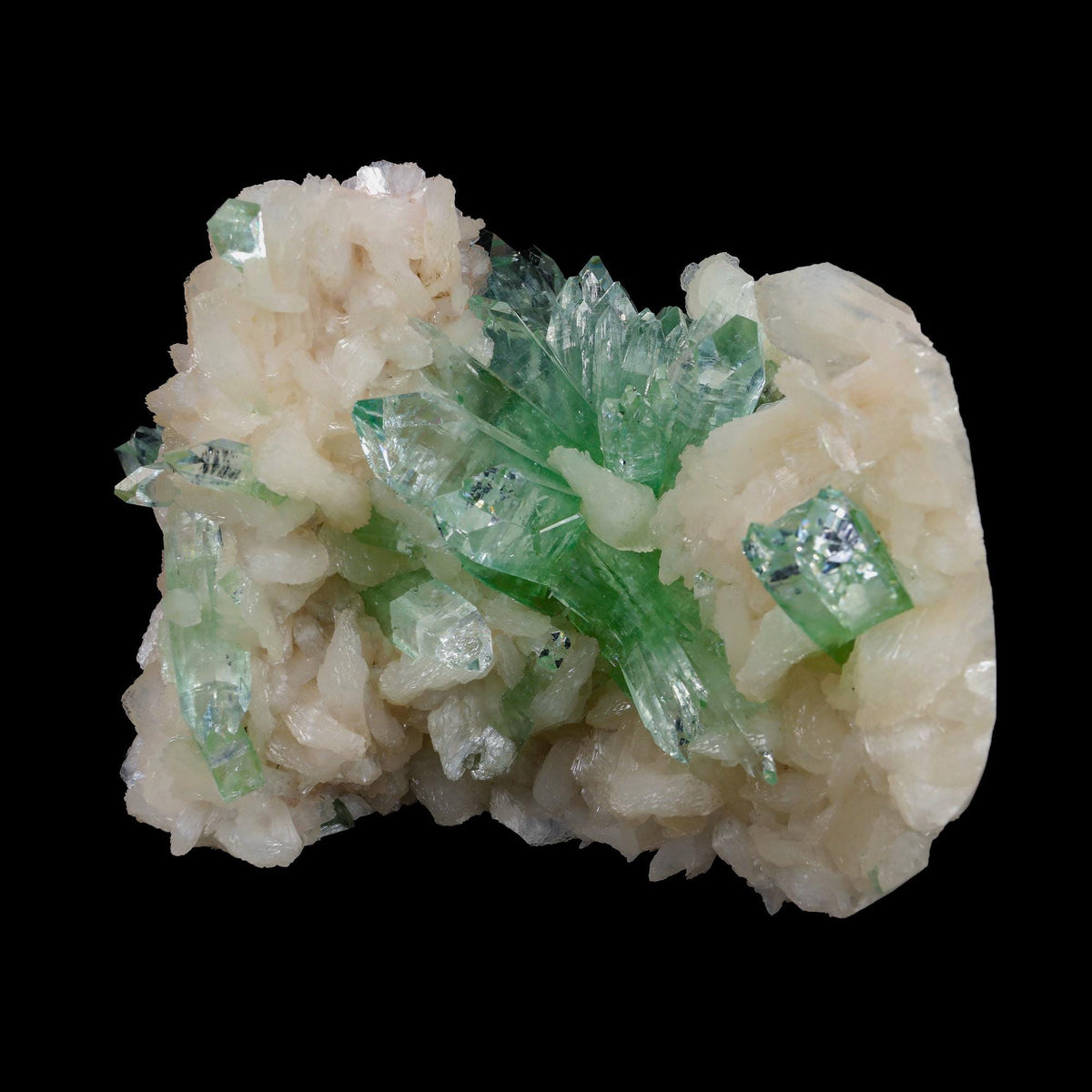 Green Apophyllite sharp terminated Natural Mineral Specimen USA # B 6937