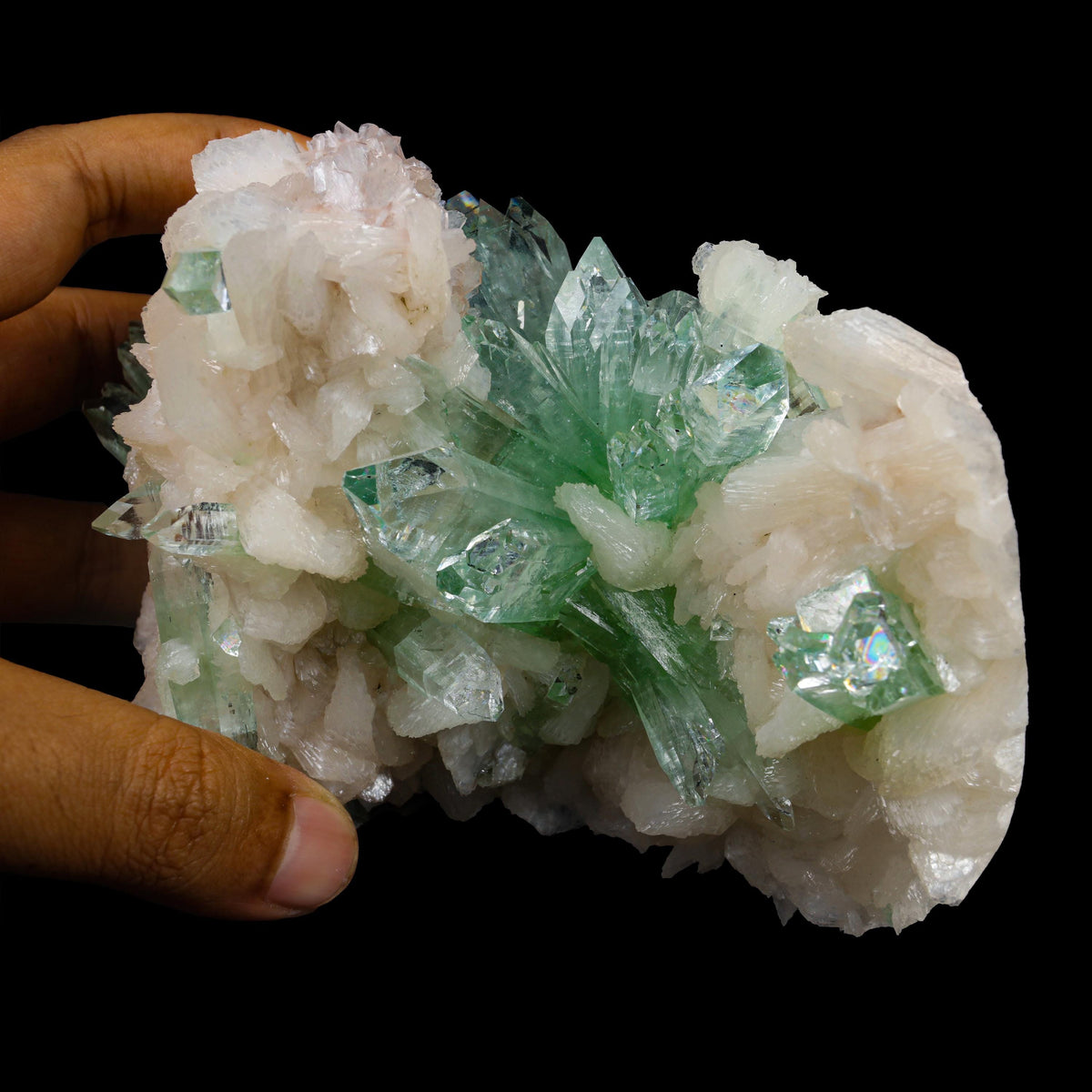 Green Apophyllite sharp terminated Natural Mineral Specimen USA # B 6937