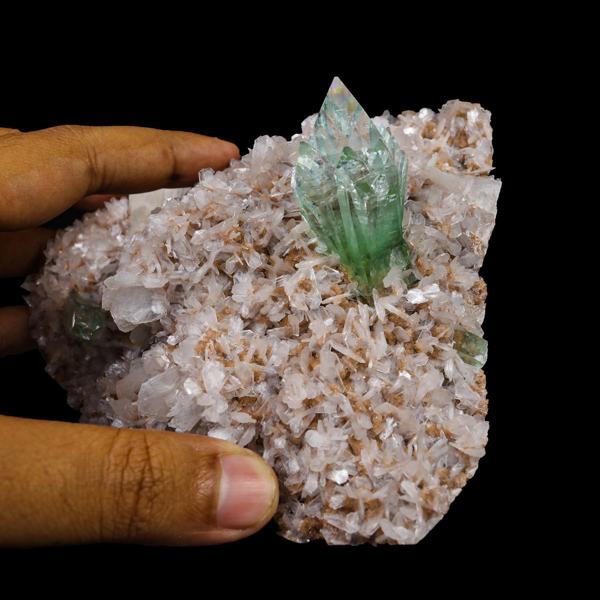 Green Apophyllite sharp terminated Natural Mineral Specimen USA # B 6938